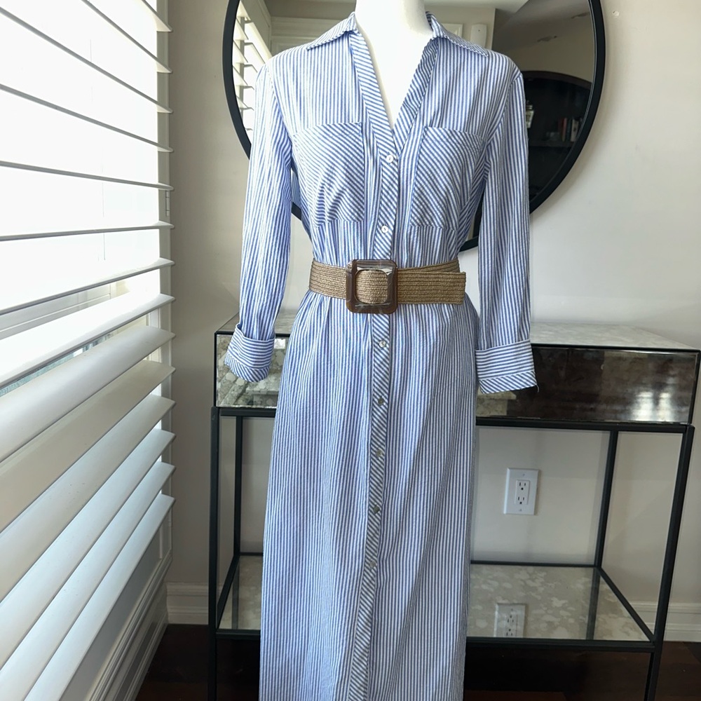 Zara Blue and White Striped Long botton down dress.